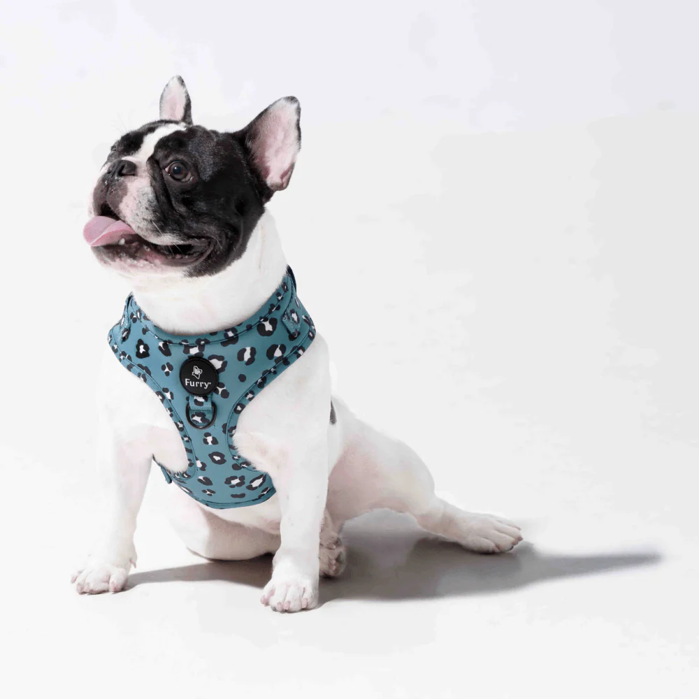 Furry & Co Wild One No Pull Harness for Dogs - Image 11