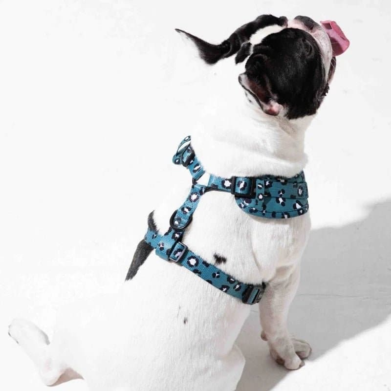Furry & Co Wild One No Pull Harness for Dogs - Image 12