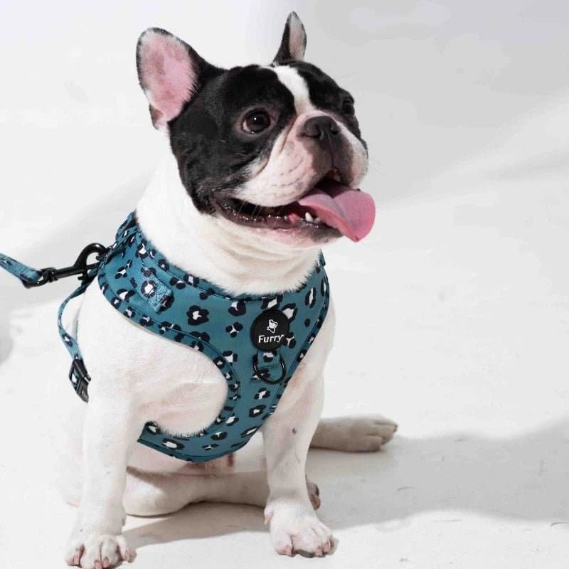 Furry & Co Wild One No Pull Harness for Dogs - Image 13