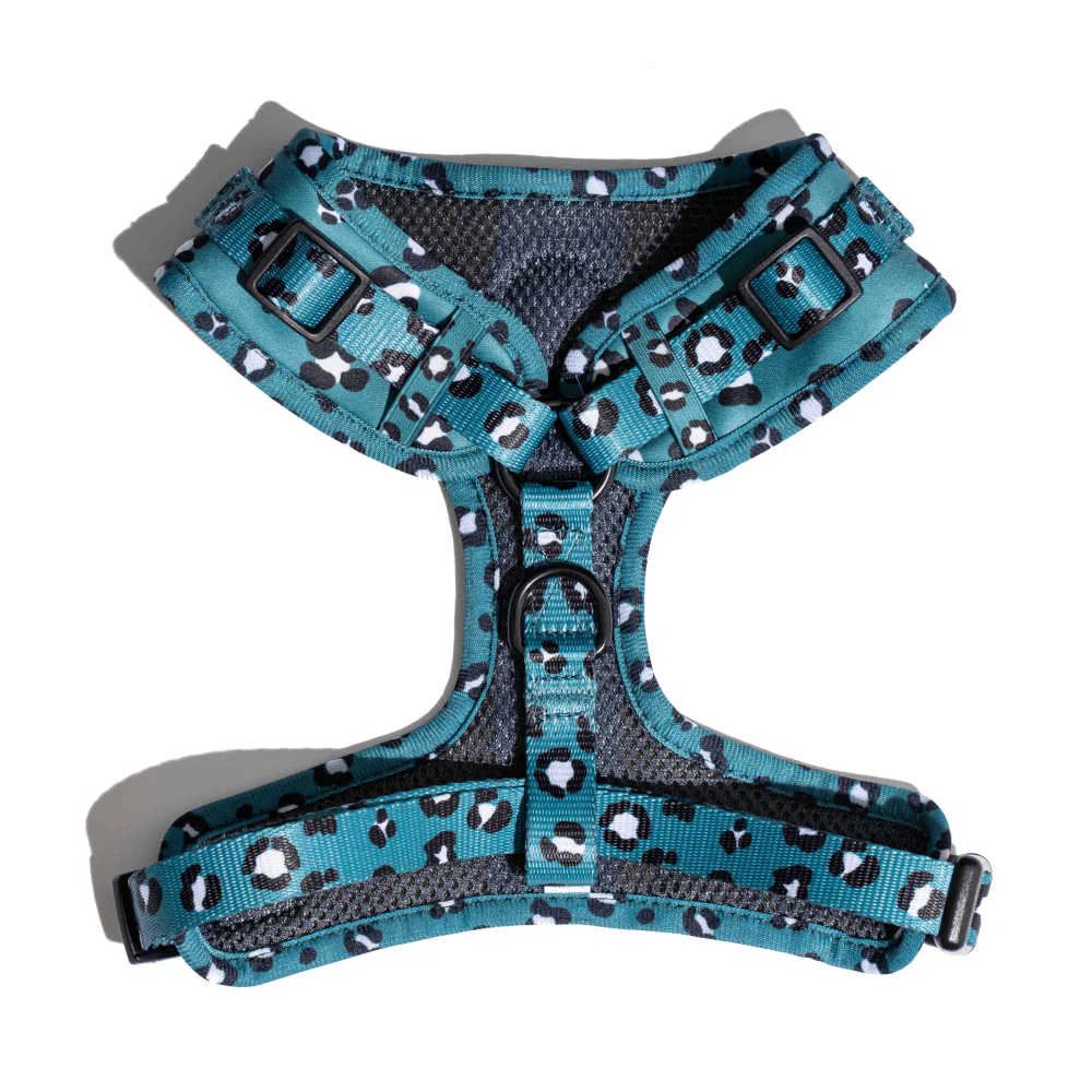 Furry & Co Wild One No Pull Harness for Dogs - Image 3