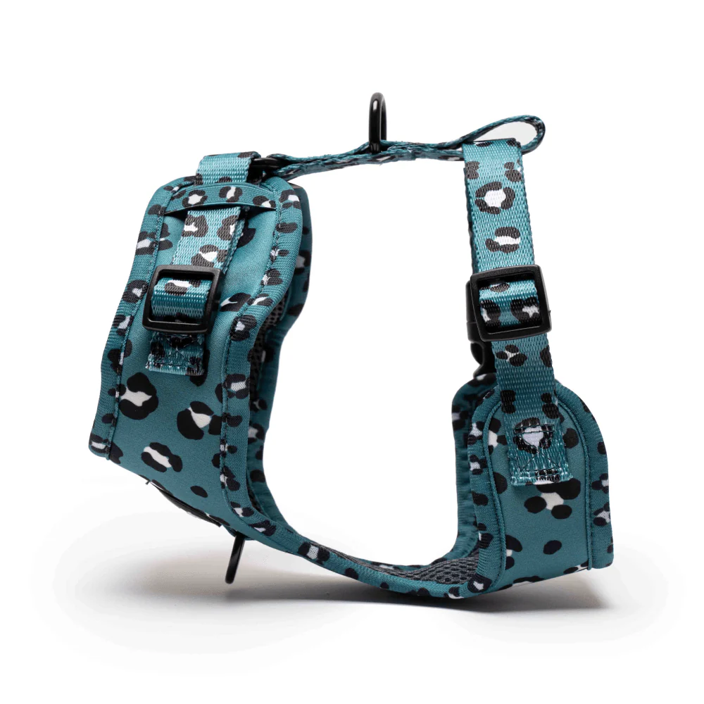 Furry & Co Wild One No Pull Harness for Dogs - Image 4
