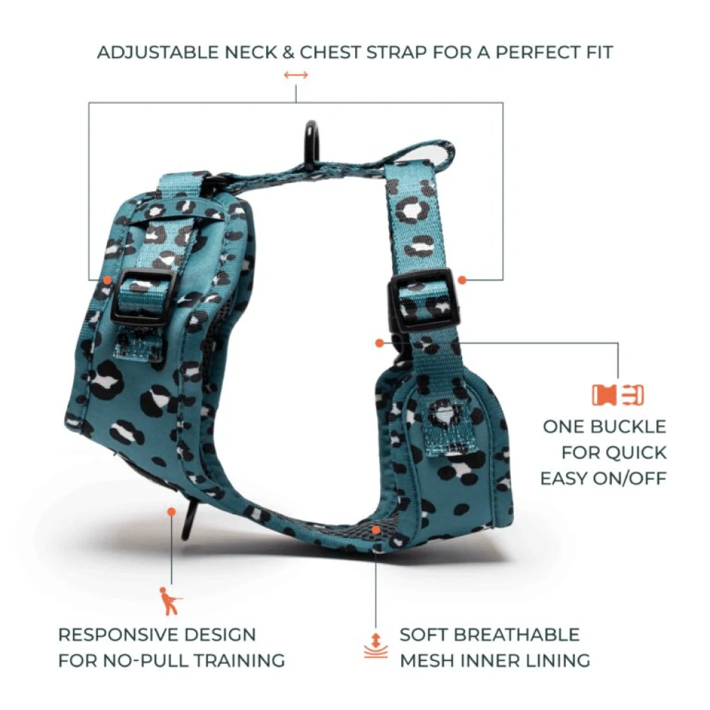 Furry & Co Wild One No Pull Harness for Dogs - Image 5