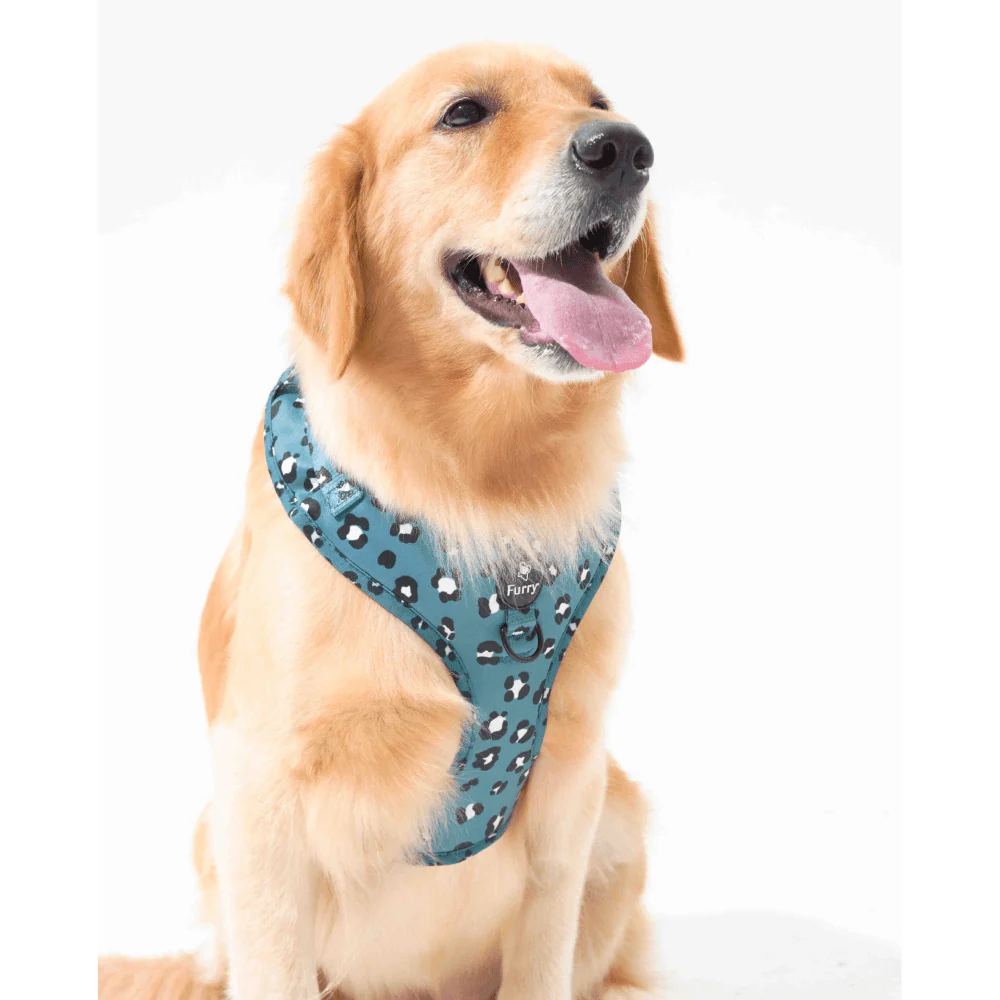 Furry & Co Wild One No Pull Harness for Dogs - Image 6