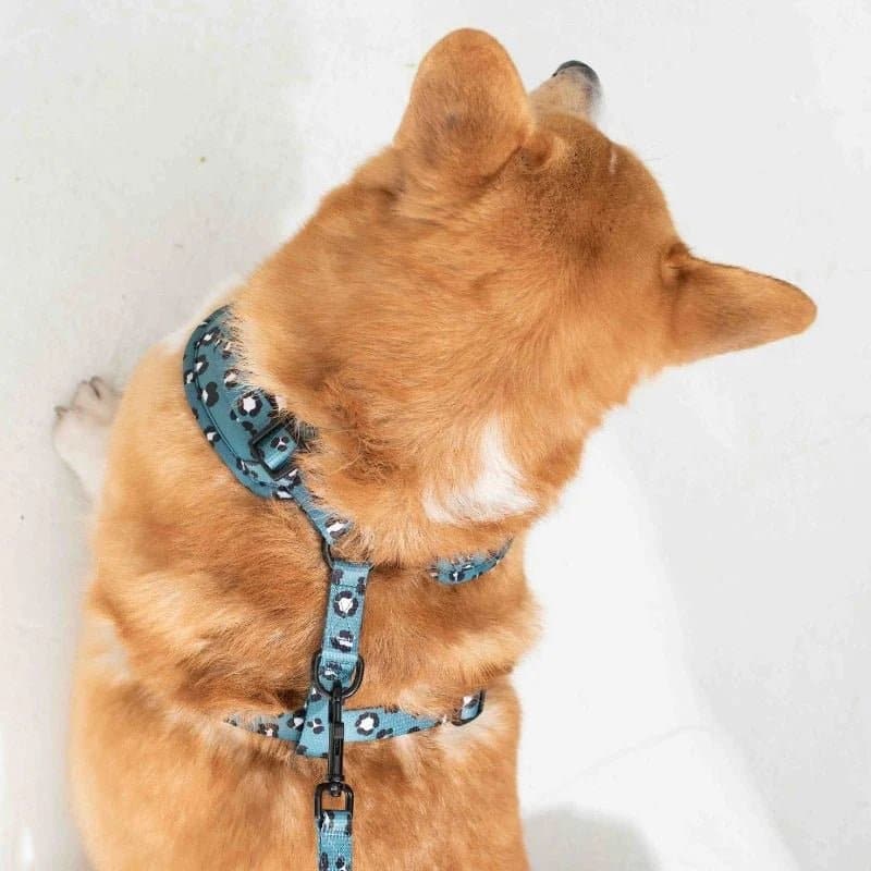 Furry & Co Wild One No Pull Harness for Dogs - Image 7