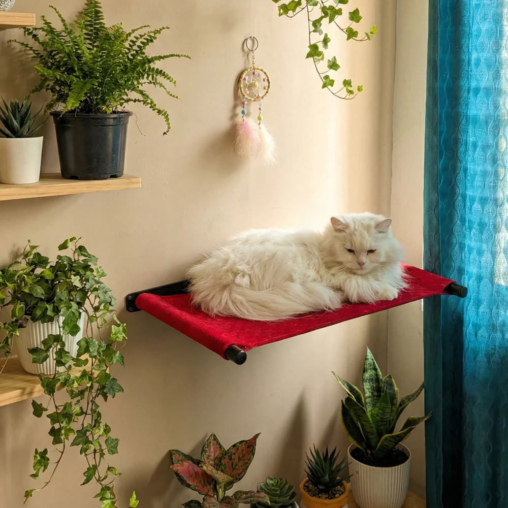 FurryLiving Kiki Wall Mounted Perch for Cats (Black/Red) - Image 2