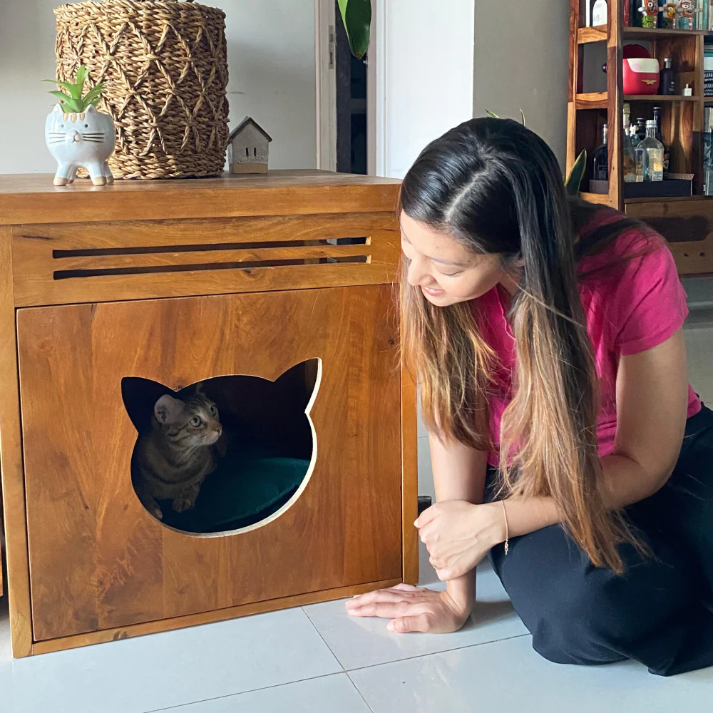 FurryLiving Meraki Cabinet with Cushion for Small Dogs and Cats (Honey/Red Cushion) - Image 2