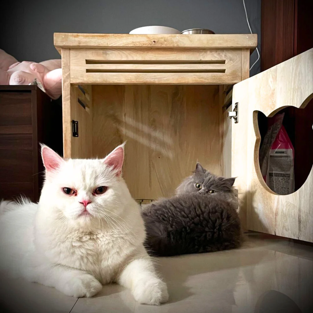 FurryLiving Meraki Cabinet with Cushion for Small Dogs and Cats (Oak/Brown Cushion) - Image 2