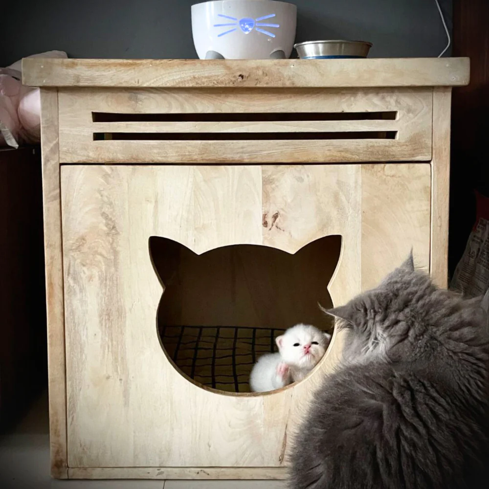 FurryLiving Meraki Cabinet with Cushion for Small Dogs and Cats (Oak/Brown Cushion) - Image 5