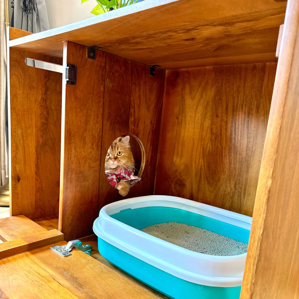 FurryLiving Lulu Litter Cabinet for Cats (Honey) - Image 4