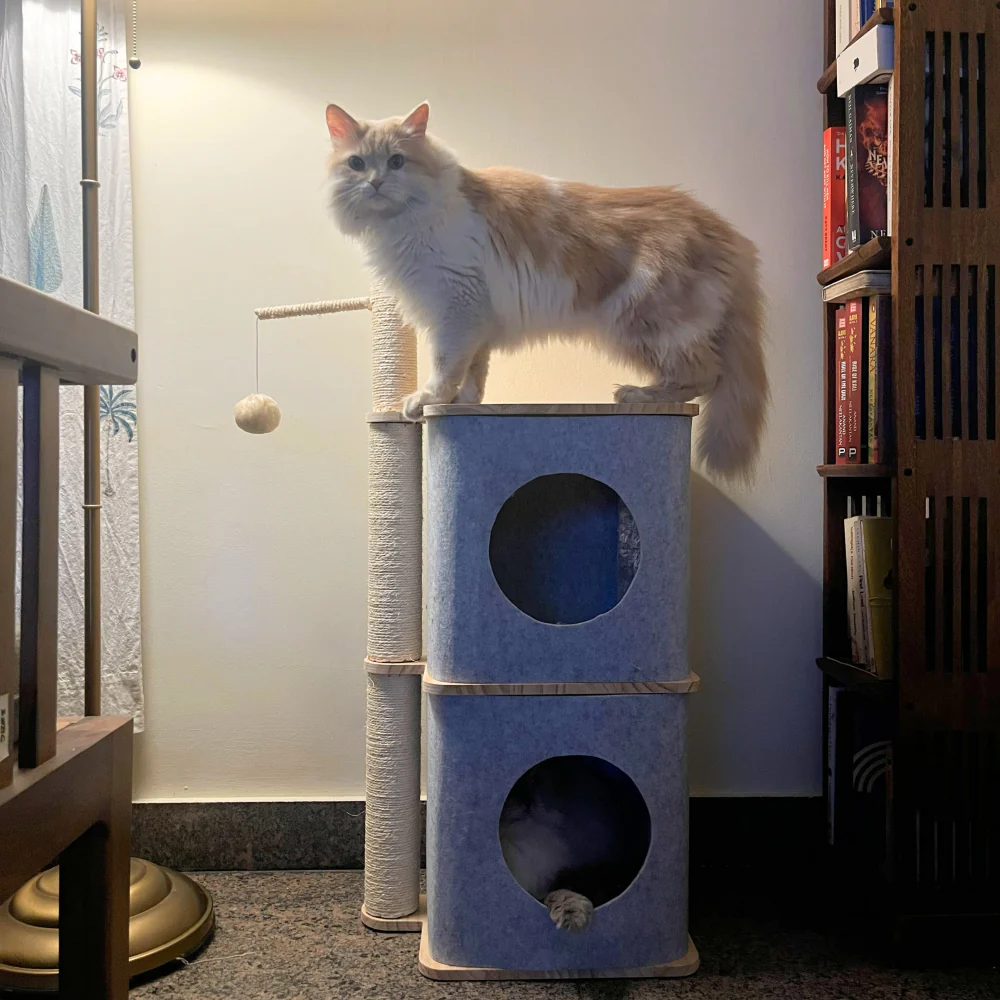 FurryLiving Nara Dual-Level Felt Condo with Scratch Pole & Hanging Toy Cat Tree - Image 3