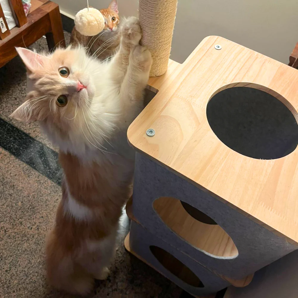 FurryLiving Nara Dual-Level Felt Condo with Scratch Pole & Hanging Toy Cat Tree - Image 7