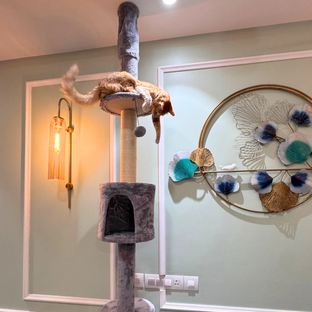 FurryLiving Sora Adjustable Floor to Ceiling with Scratching Posts, Condo and Hanging Toy Cat Tree - Image 6