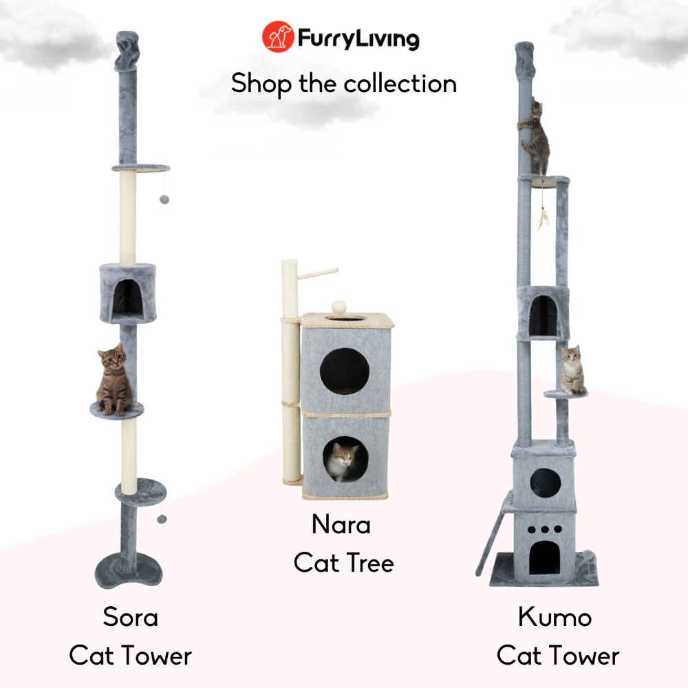 FurryLiving Sora Adjustable Floor to Ceiling with Scratching Posts, Condo and Hanging Toy Cat Tree - Image 7