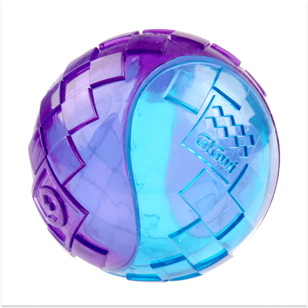 GiGwi Ball Squeaker Toy for Dogs (Blue/Purple) | For Medium Chewers - Image 2