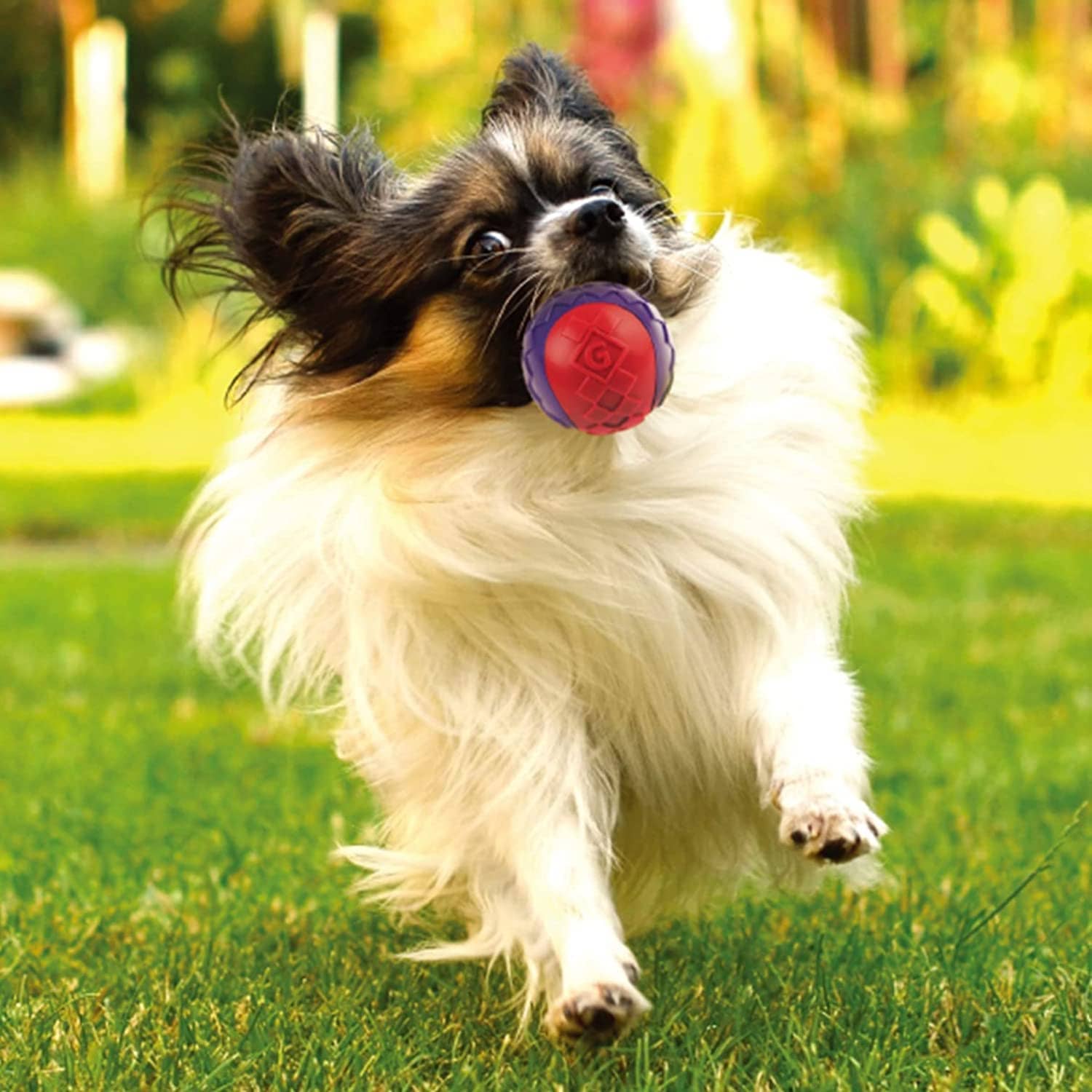 GiGwi Ball Squeaker Toy for Dogs (Pack of 2) - Image 6