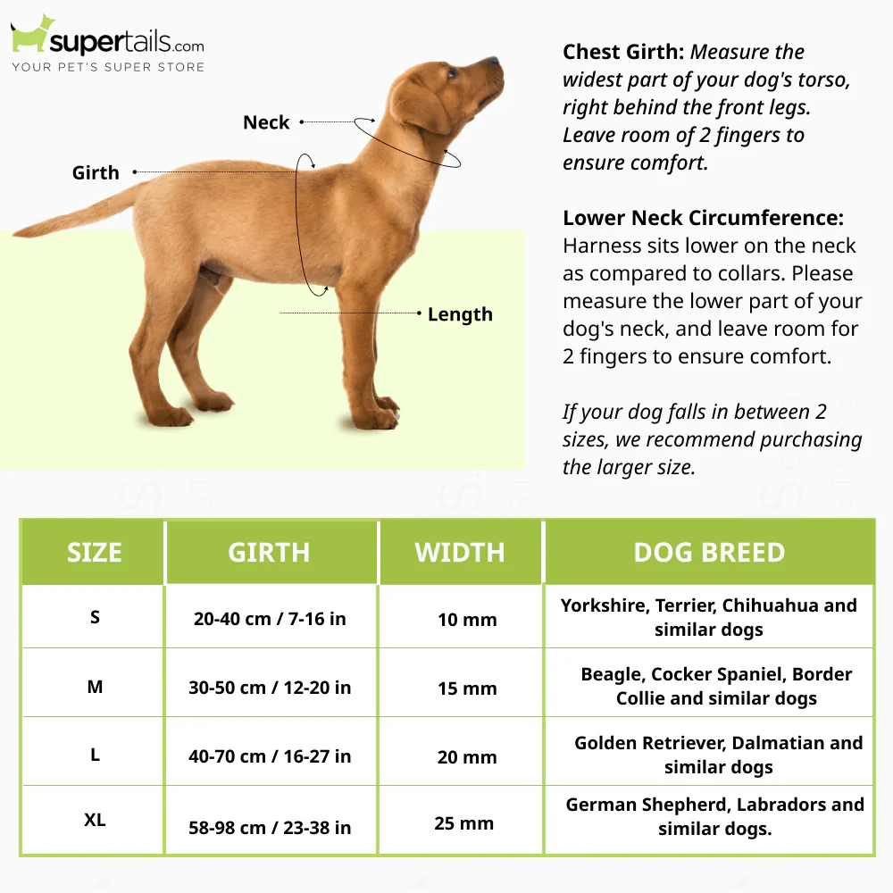 GiGwi Classic Line Harness for Dogs (Purple) - Image 2