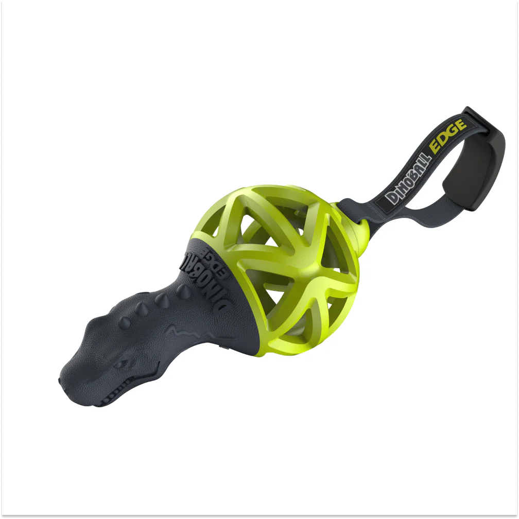 Gigwi Dinoball Edge with Strap Chew Toy for Dogs (Green) - Image 3