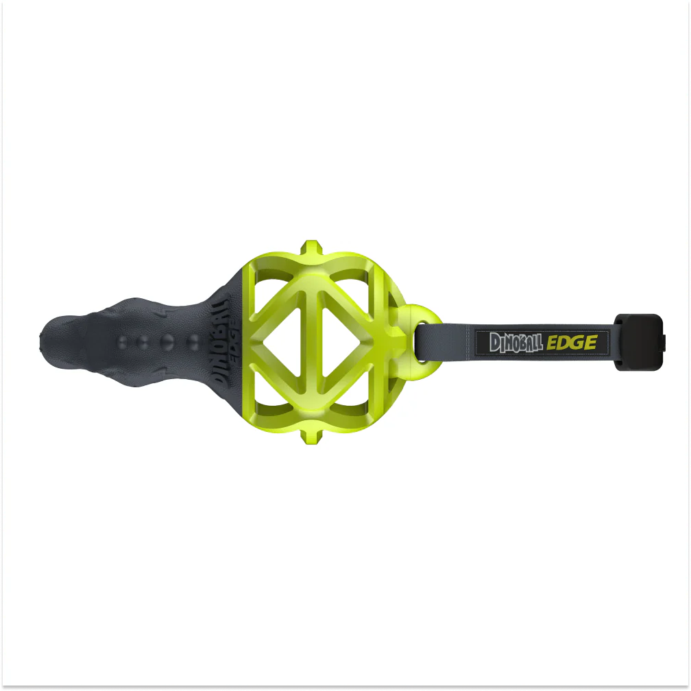 Gigwi Dinoball Edge with Strap Chew Toy for Dogs (Green) - Image 4