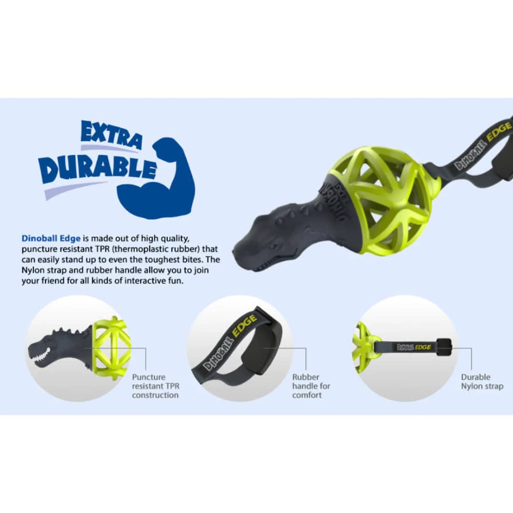 Gigwi Dinoball Edge with Strap Chew Toy for Dogs (Green) - Image 6