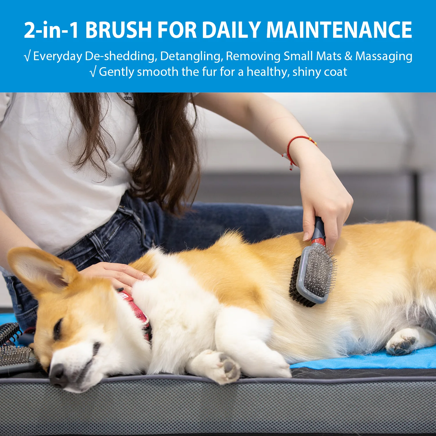 GiGwi Double Sided Brush with Bristles and Pins for Dogs and Cats (Black) - Image 3