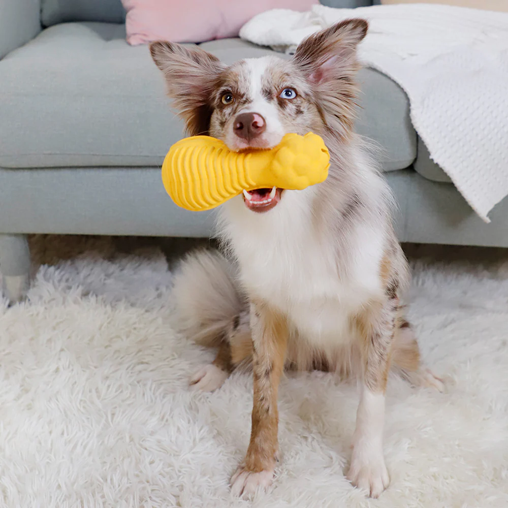 GiGwi Dumbbell Lion Heads Toy for Dogs (Yellow) - Image 10