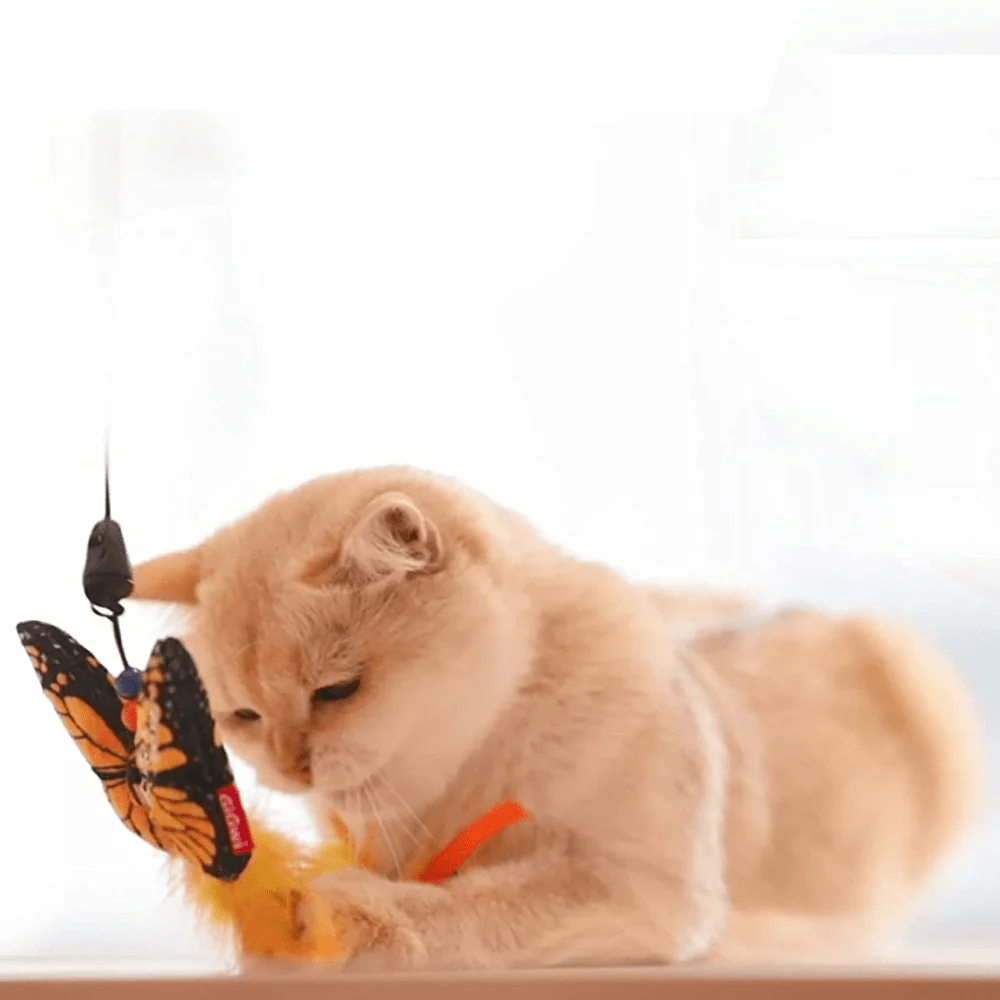 Gigwi FishYellow Butterfly with Flexible Rod Crinkle Paper Catnip and Bell Feather Teaser for Cats - Image 6