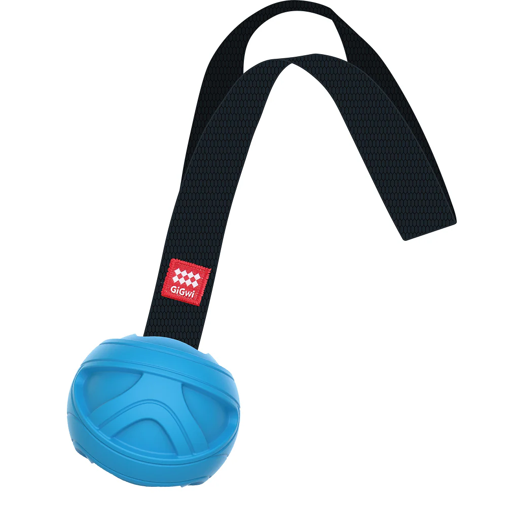 GiGwi Go! Fetch Slinger Ball Toy for Dogs (Blue) - Image 2