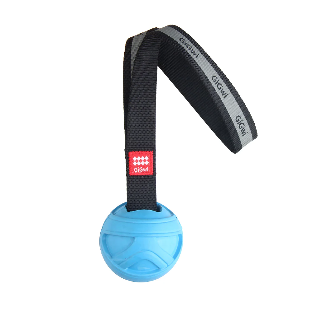 GiGwi Go! Fetch Slinger Ball Toy for Dogs (Blue) - Image 4