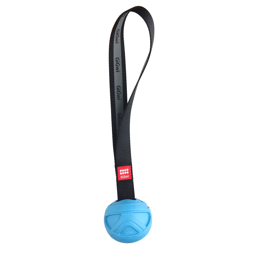 GiGwi Go! Fetch Slinger Ball Toy for Dogs (Blue) - Image 5