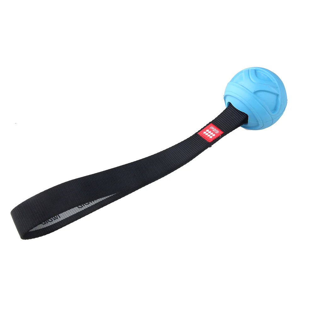 GiGwi Go! Fetch Slinger Ball Toy for Dogs (Blue) - Image 6