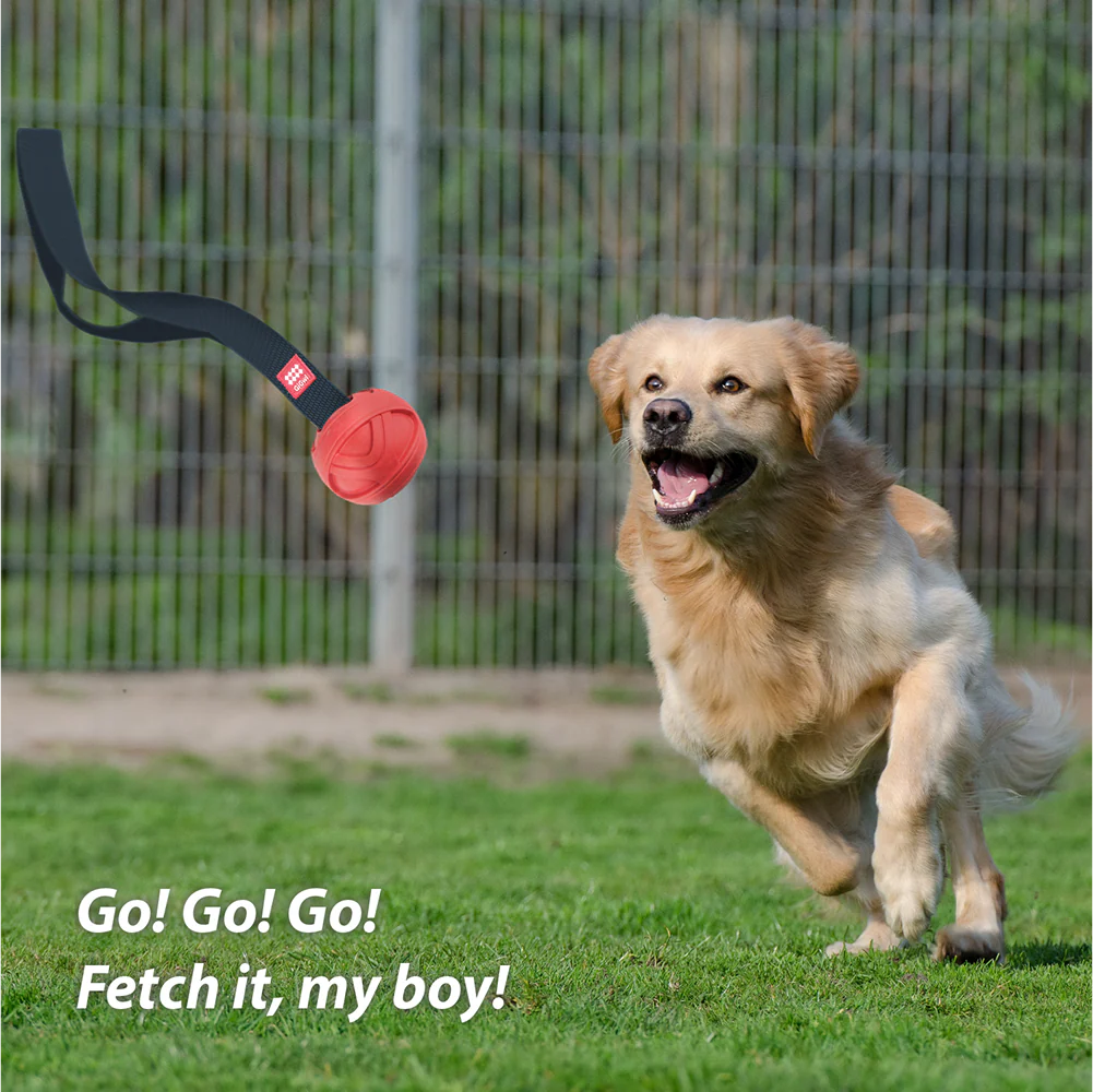 GiGwi Go! Fetch Slinger Ball Toy for Dogs (Red) - Image 5
