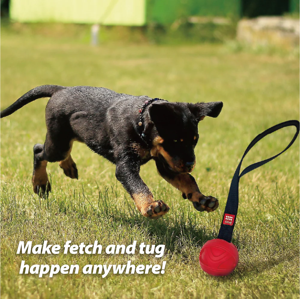 GiGwi Go! Fetch Slinger Ball Toy for Dogs (Red) - Image 6
