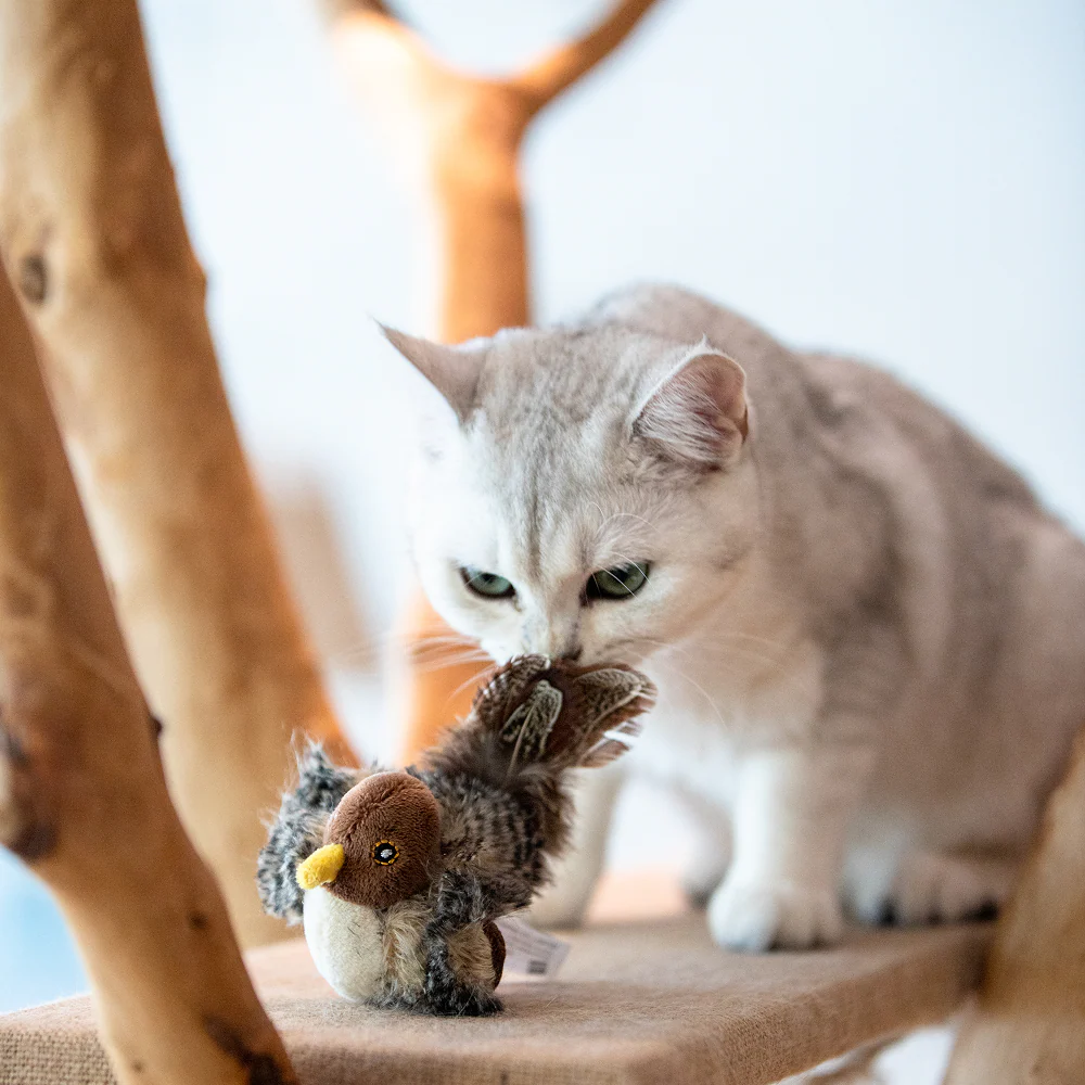 GiGwi Melody Chaser Bird Toy for Cats (Dark Brown) - Image 8