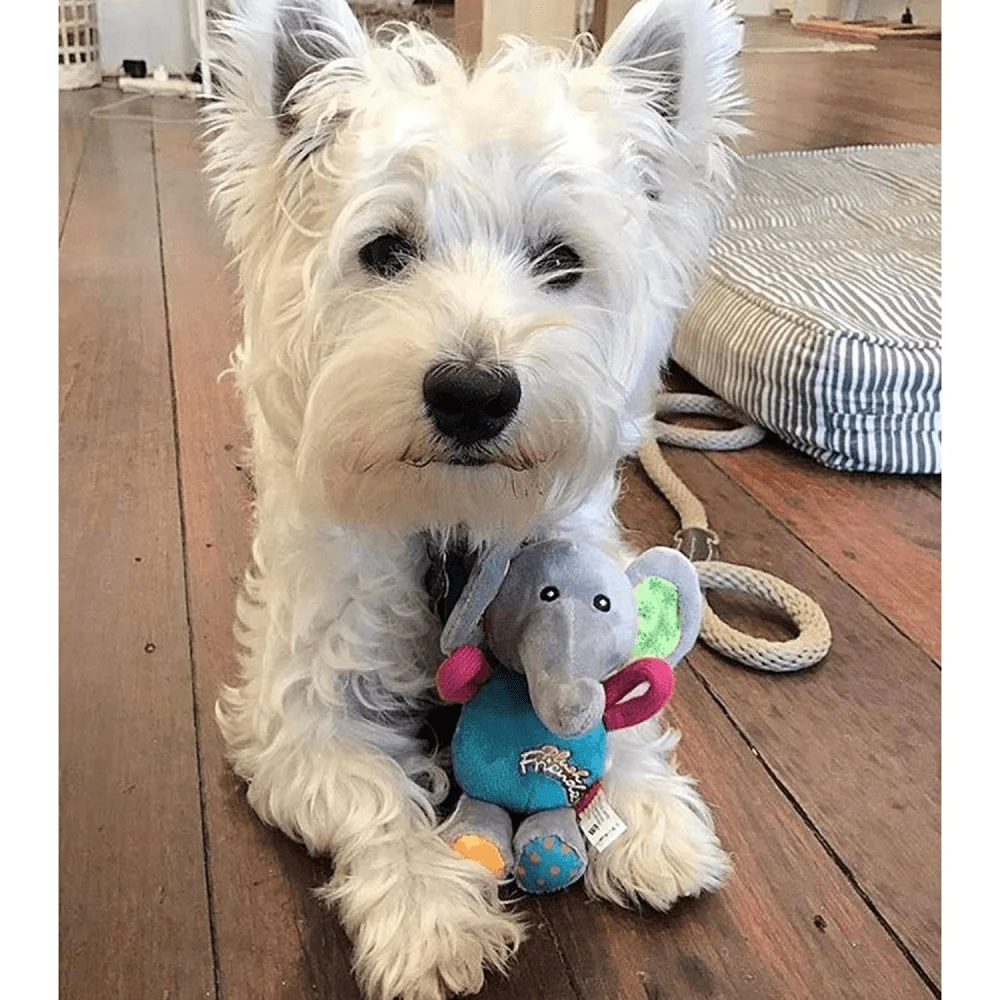 GiGwi Plush Friendz with Squeaker Elephant Toy for Dogs | For Soft Chewers - Image 6