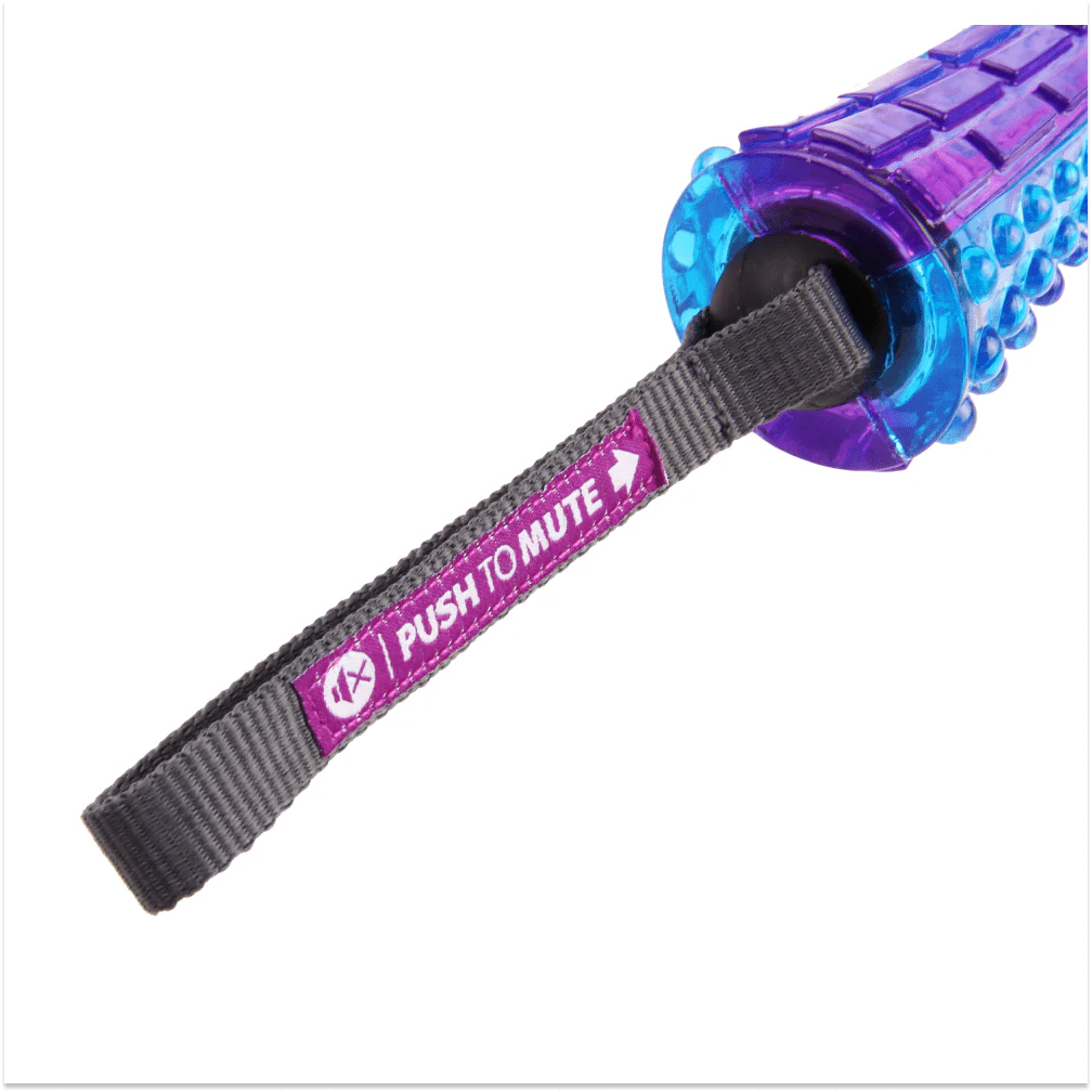 GiGwi Push To Mute Johnny Stick for Dogs (Purple/Blue) - Image 4