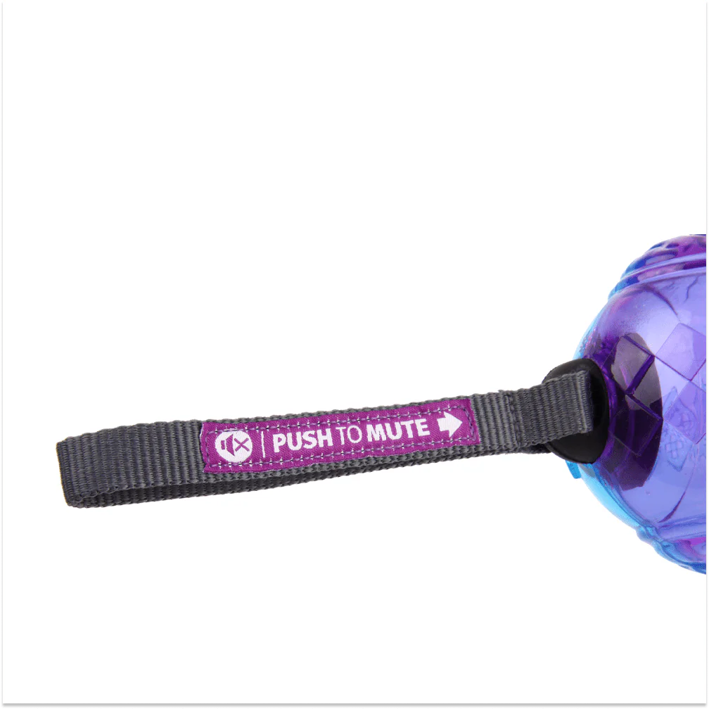 GiGwi Push To Mute Johnny Stick for Dogs (Purple/Blue) - Image 6