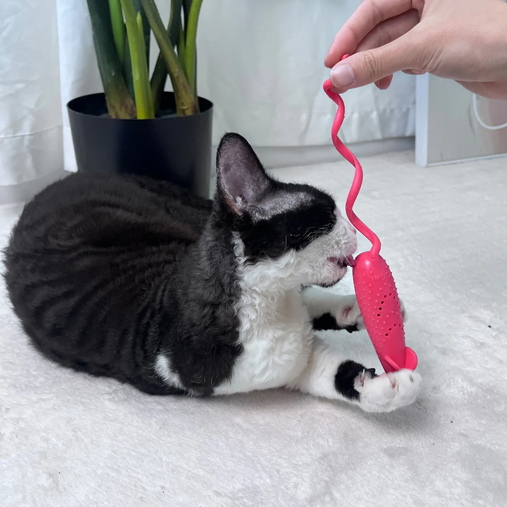 GiGwi Roll Tailed Mouse Toy for Cats (Pink) - Image 16