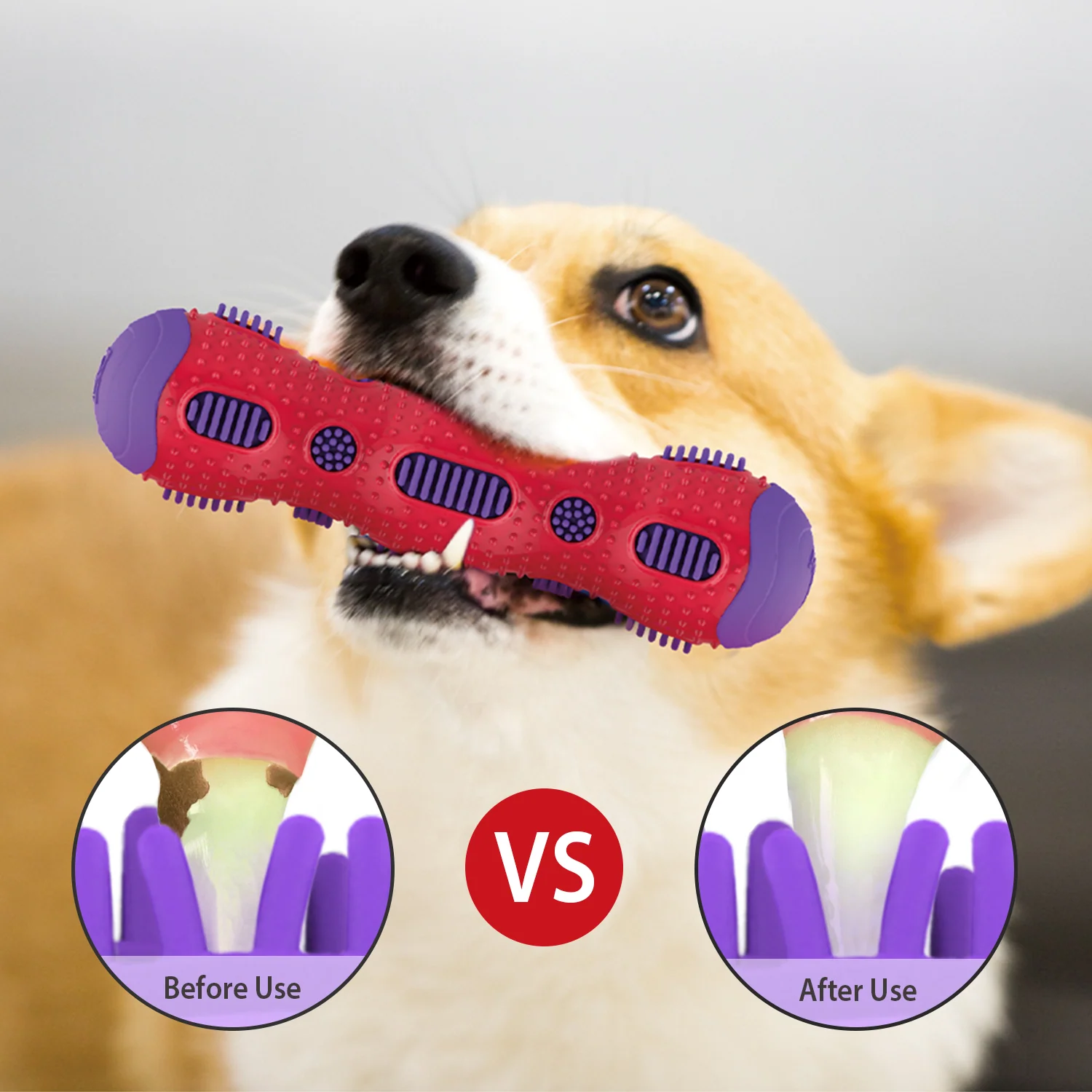 GiGwi Toothbrush Stick with Crackle Toy for Dogs(Red & Purple) - Image 4