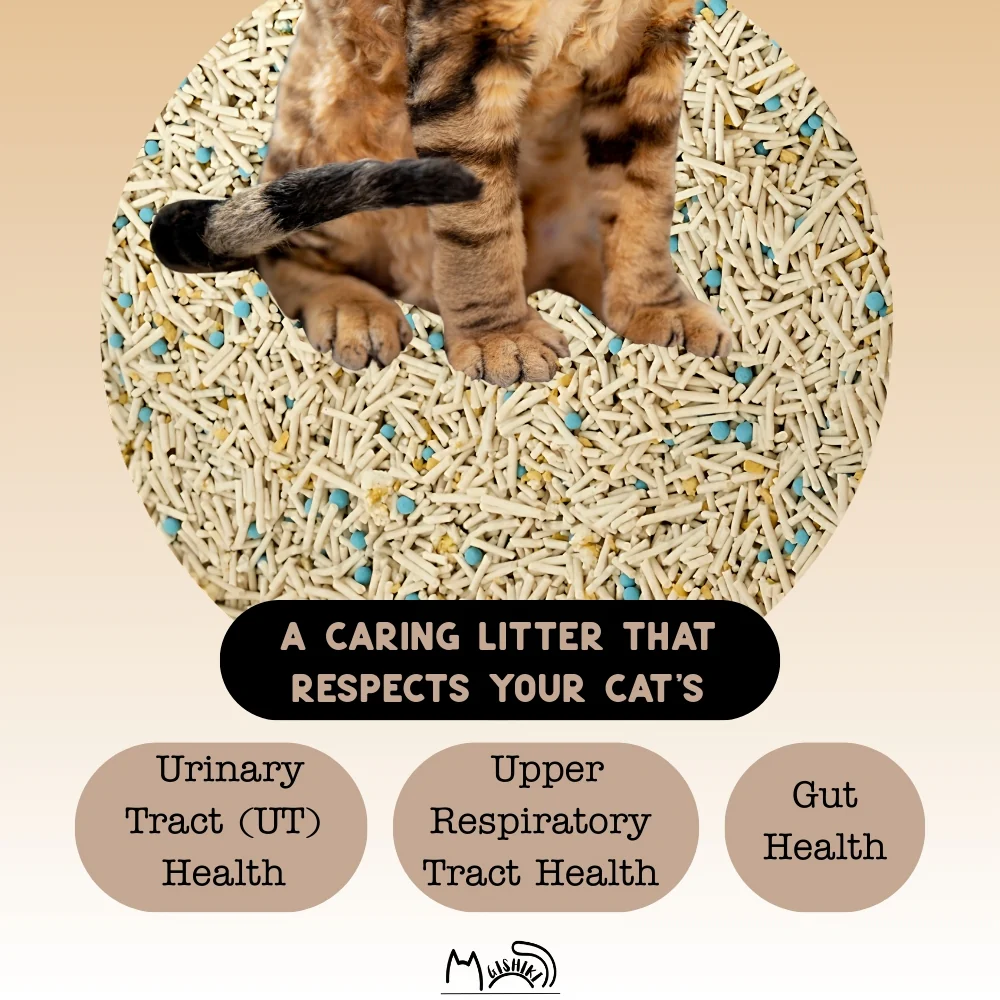 Gishiki Health Pro Premium Tofu Unscented Cat Litter with Add Ins - Image 5
