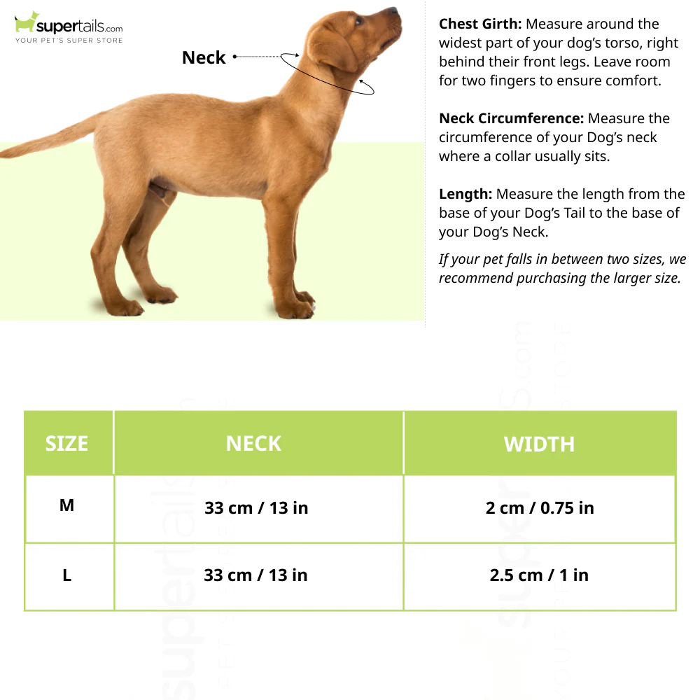 Glenand Padded Collar for Dogs (Light Blue) - Image 2