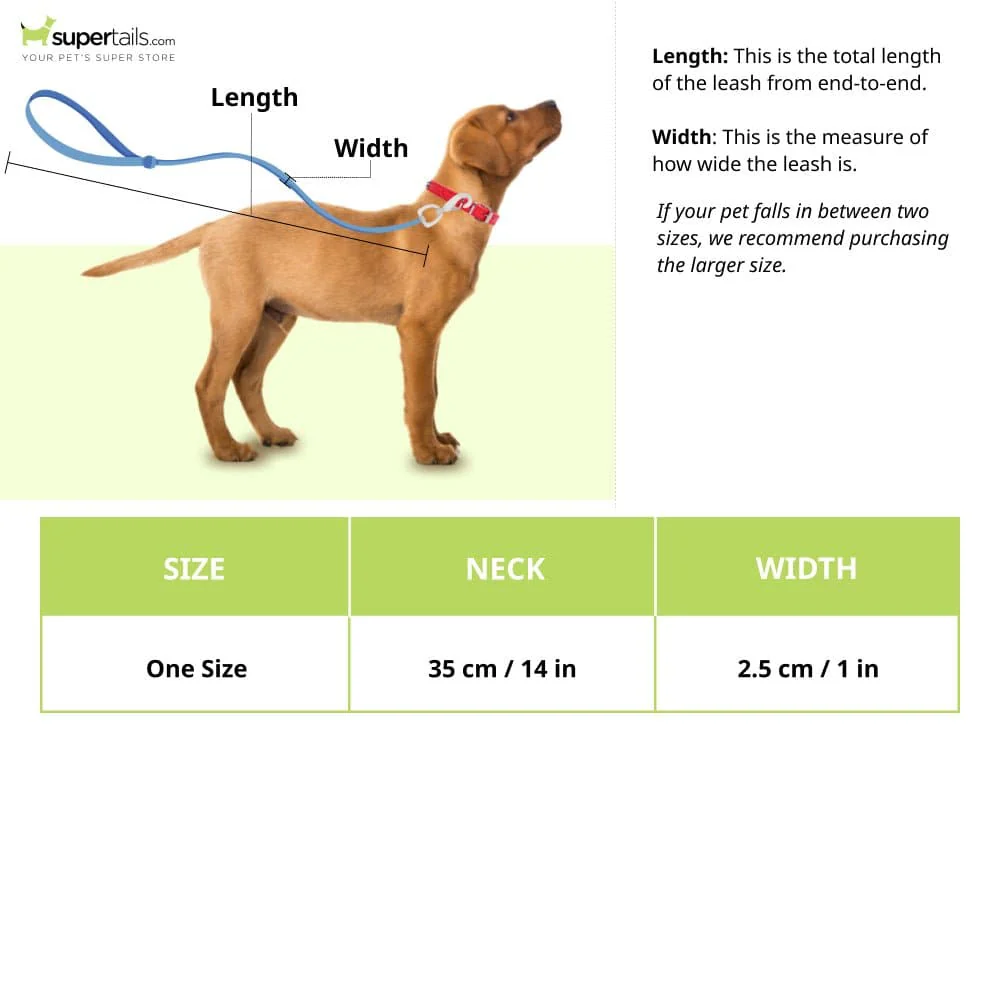 Glenand Petz Pure Nylon Padded Collar for Dogs (Orange,1 inches) - Image 2