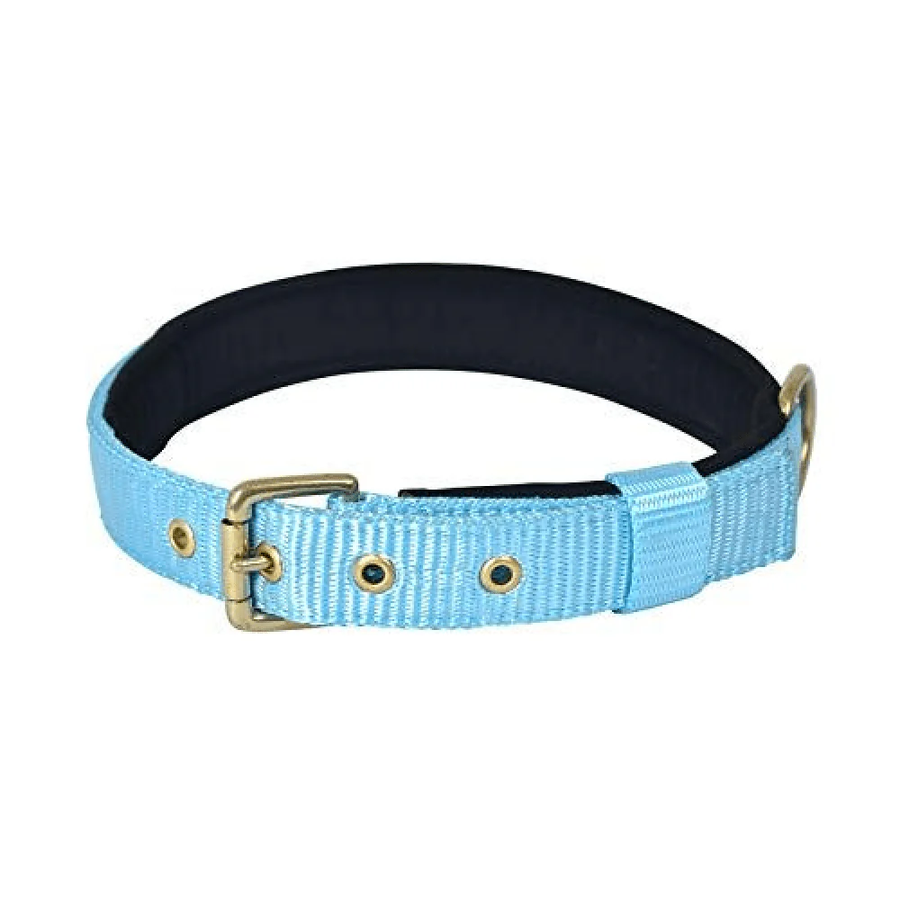 Glenand Petz Pure Nylon Padded Collar for Dogs (Light Blue,3/4 inches)