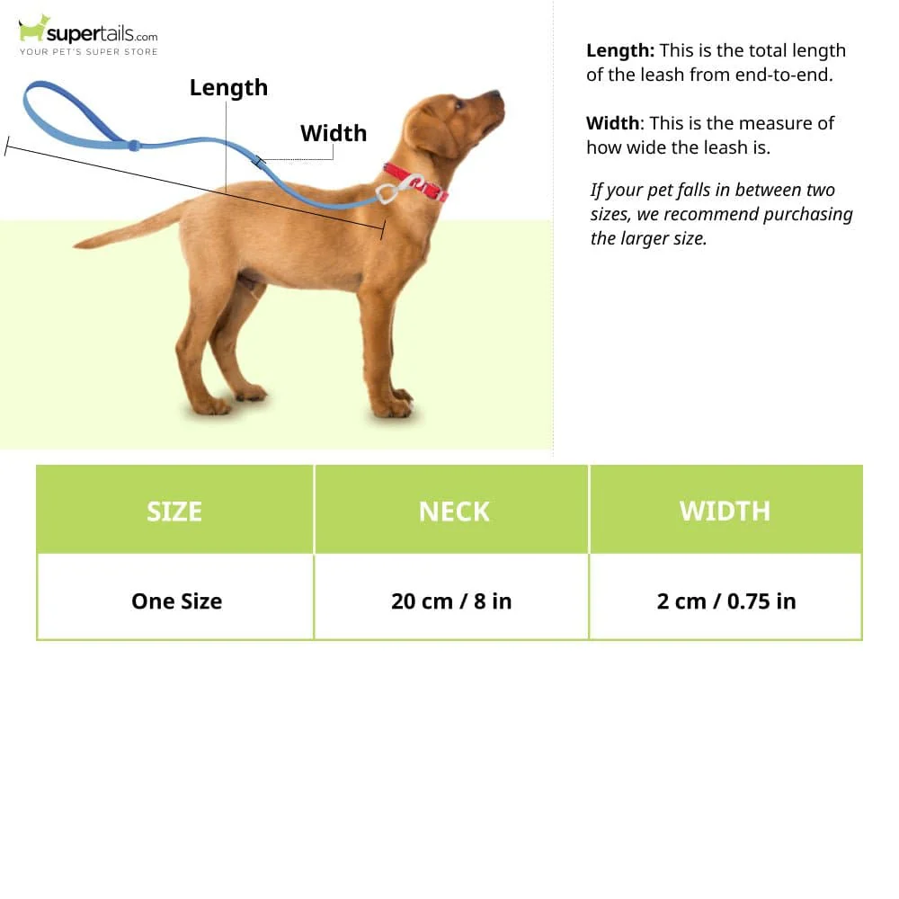 Glenand Petz Pure Nylon Padded Collar for Dogs (Light Blue,3/4 inches) - Image 2