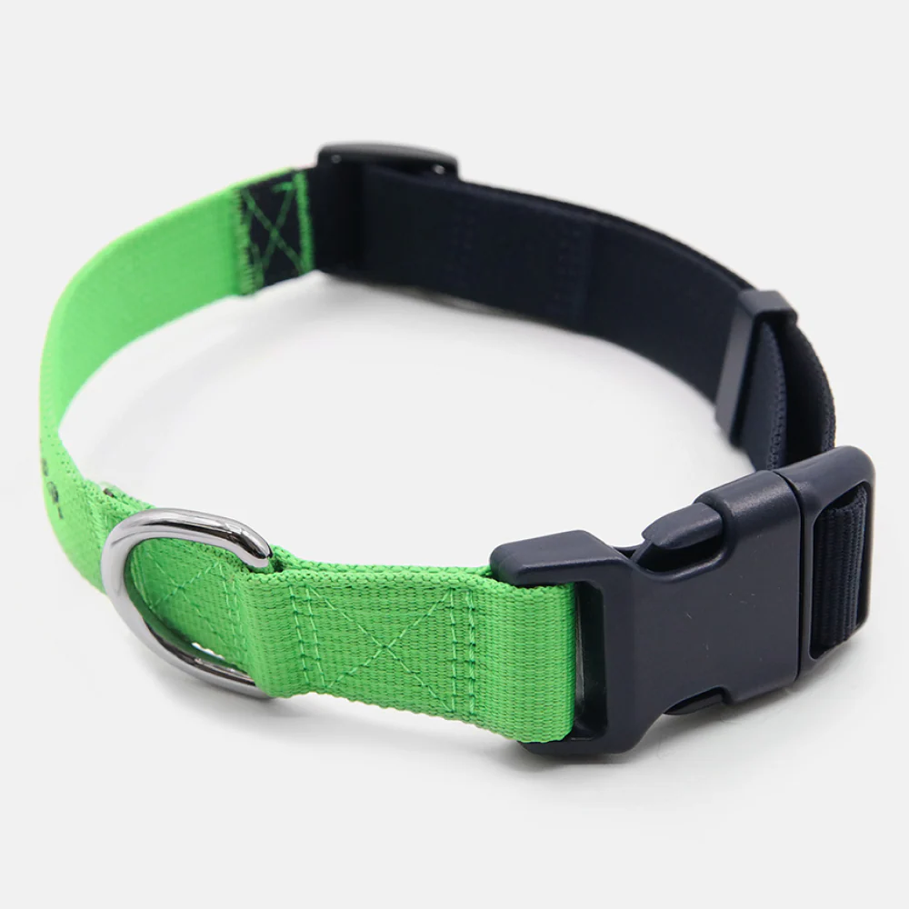 Tommy Hilfiger Webbing Collar for Dogs (Lime) - Image 4