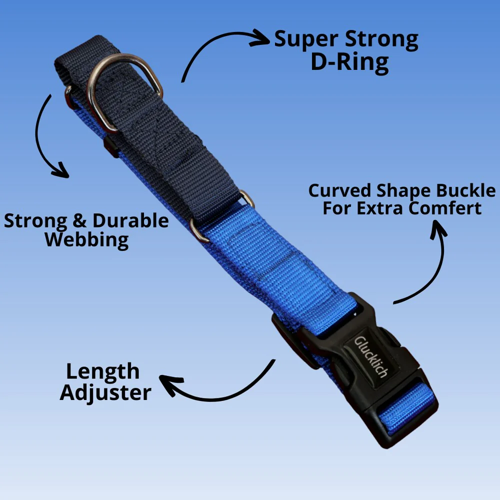Glucklich Classic Nylon Martingale Adjustable Collar for Dogs (Royal Blue) - Image 3