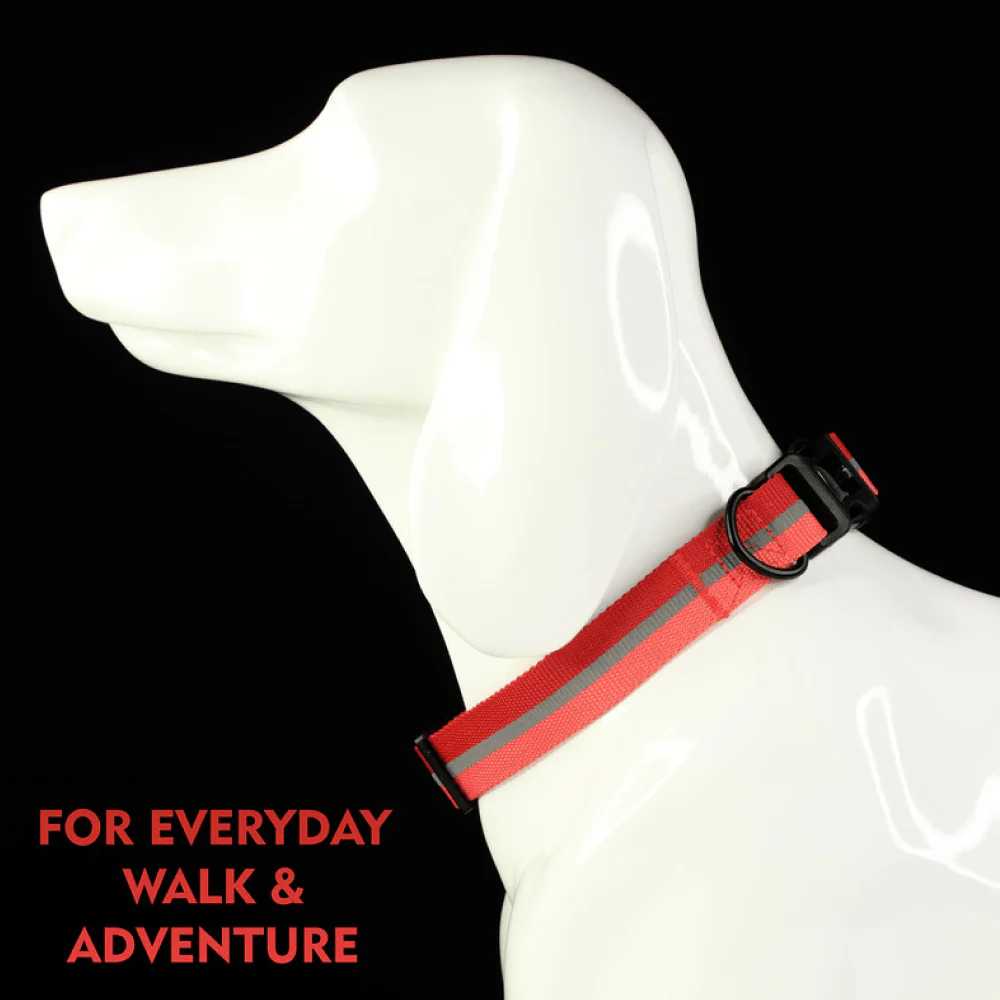 Glucklich Everyday Reflective Collar for Dogs (Cherry Pink) - Image 3