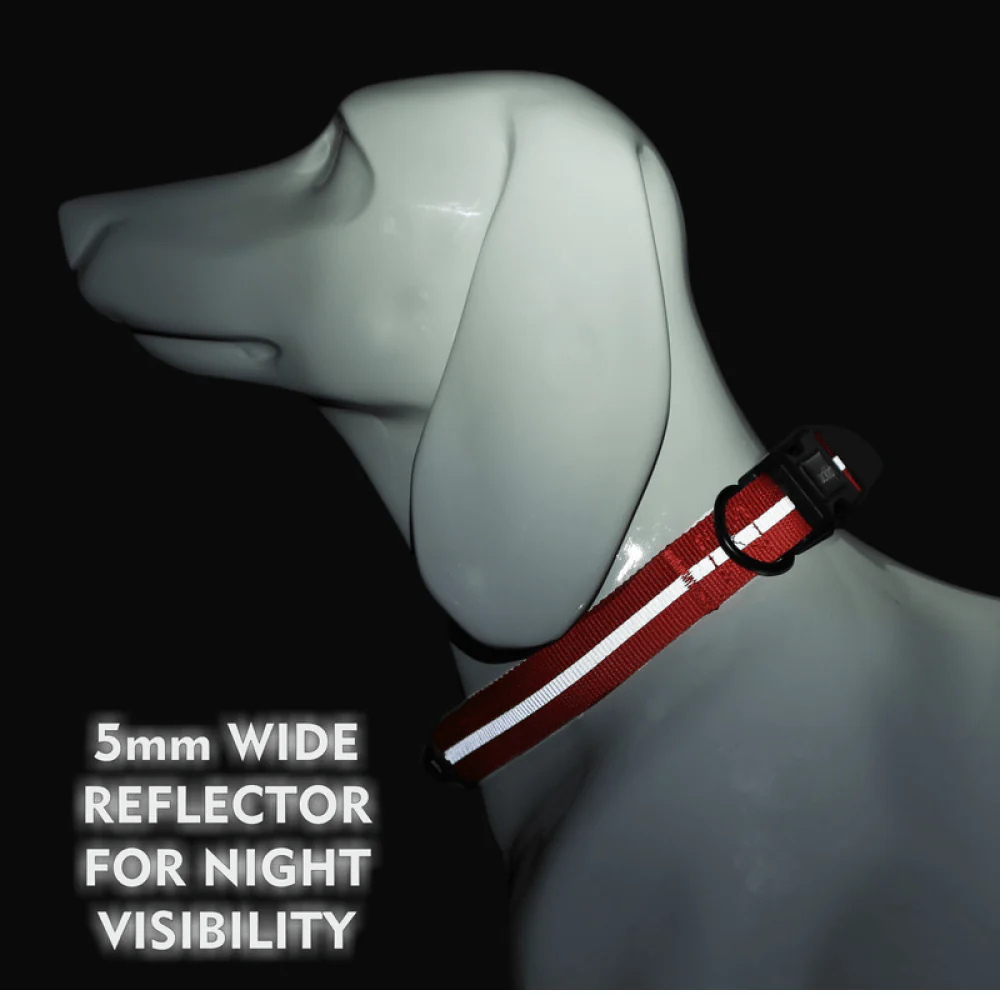 Glucklich Everyday Reflective Collar for Dogs (Cherry Pink) - Image 4