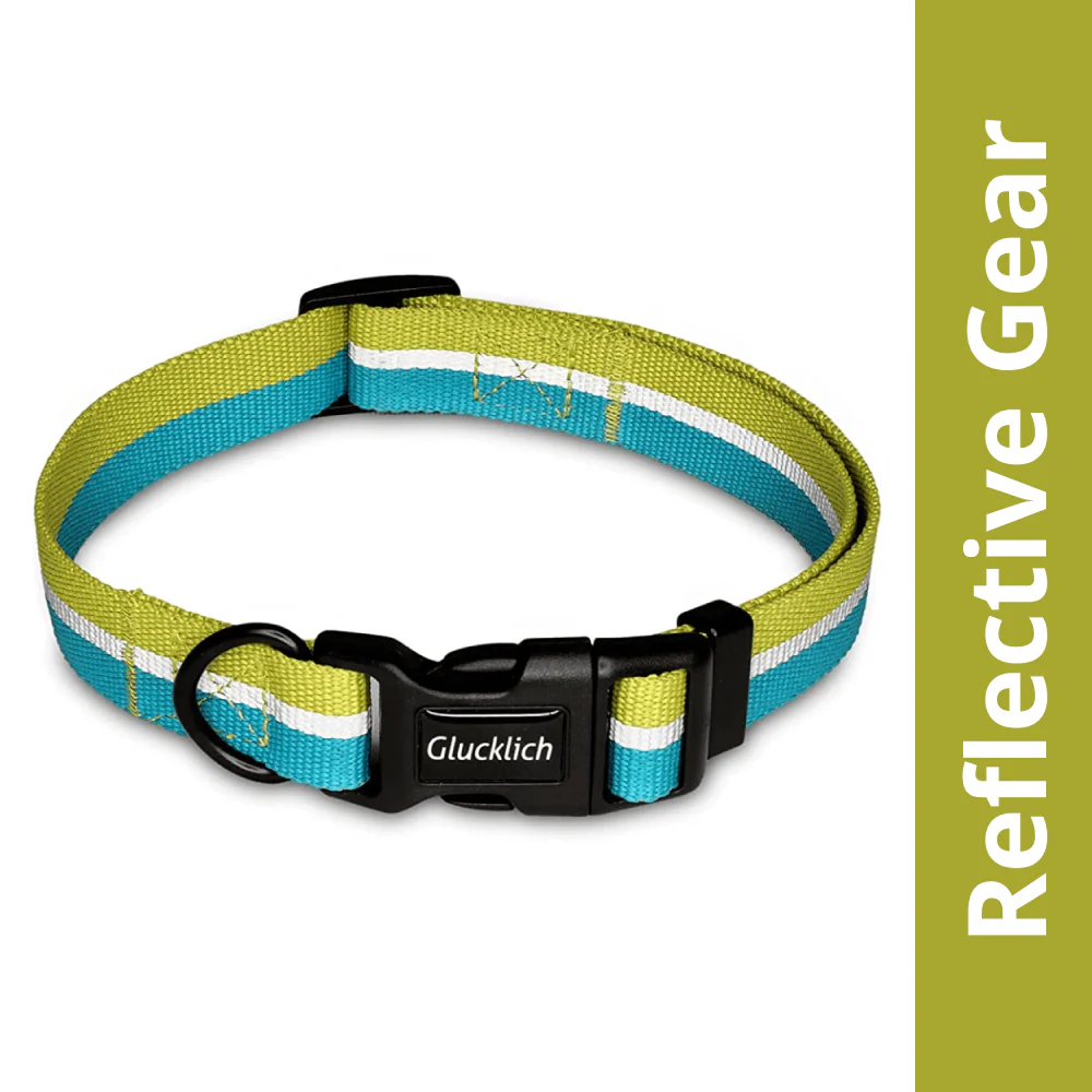 Glucklich Everyday Reflective Collar for Dogs (Mint Green)