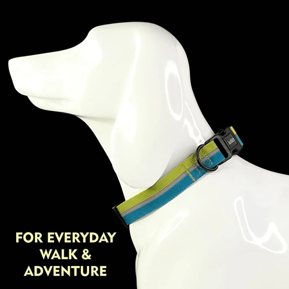 Glucklich Everyday Reflective Collar for Dogs (Mint Green) - Image 5