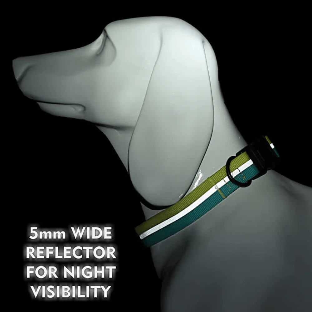 Glucklich Everyday Reflective Collar for Dogs (Mint Green) - Image 6